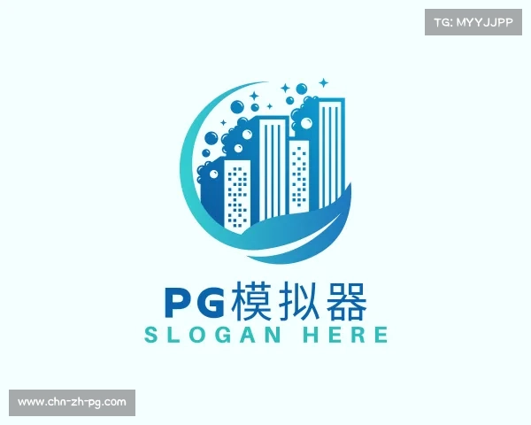 关于pg模拟器